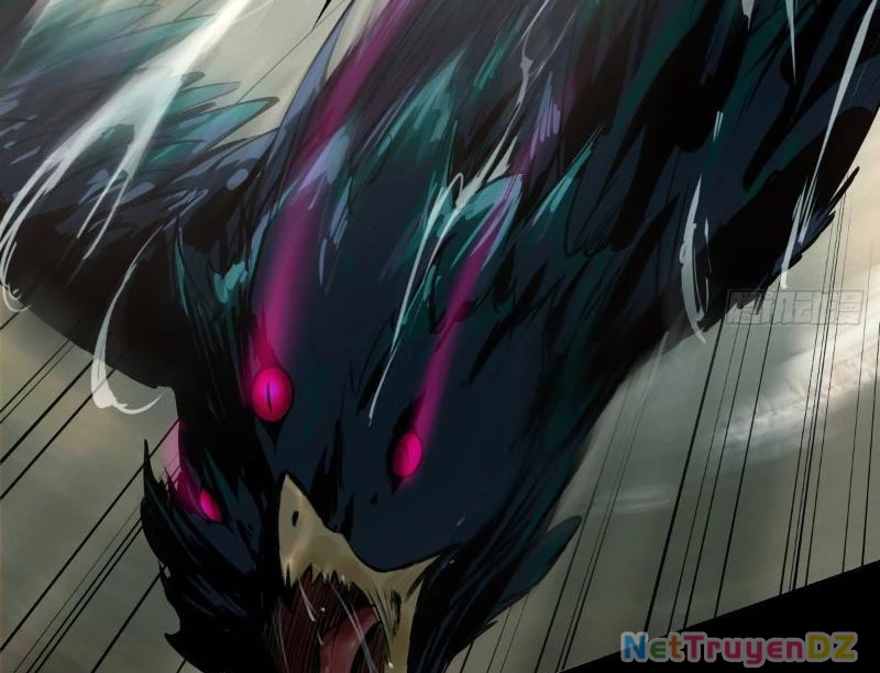 Hồng Hoang: Bắt Đầu Từ Việc Nhận Minh Hà Làm Con Gái Nuôi Chapter 1 - Trang 3