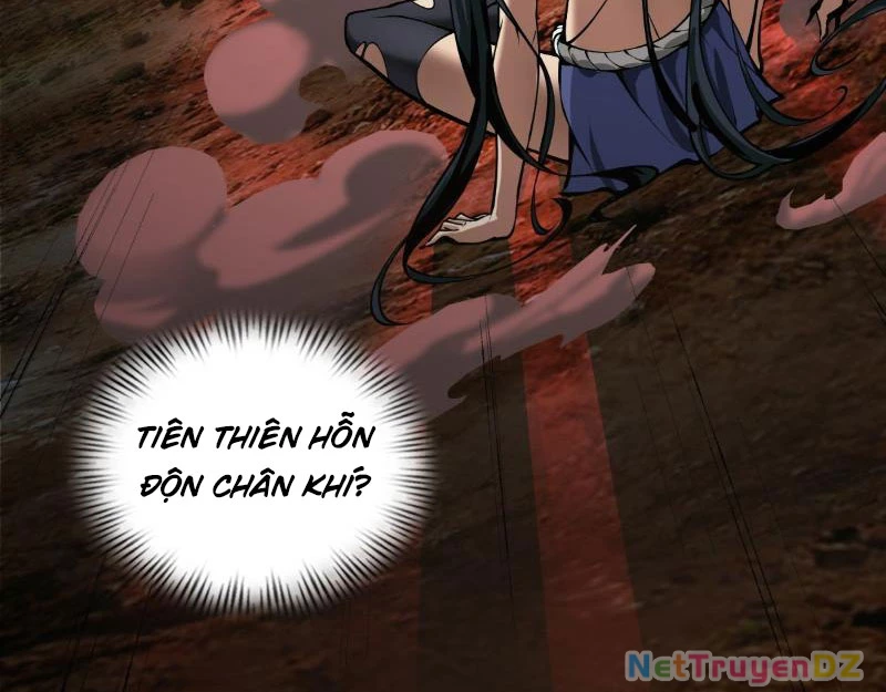 Hồng Hoang: Bắt Đầu Từ Việc Nhận Minh Hà Làm Con Gái Nuôi Chapter 1 - Trang 3