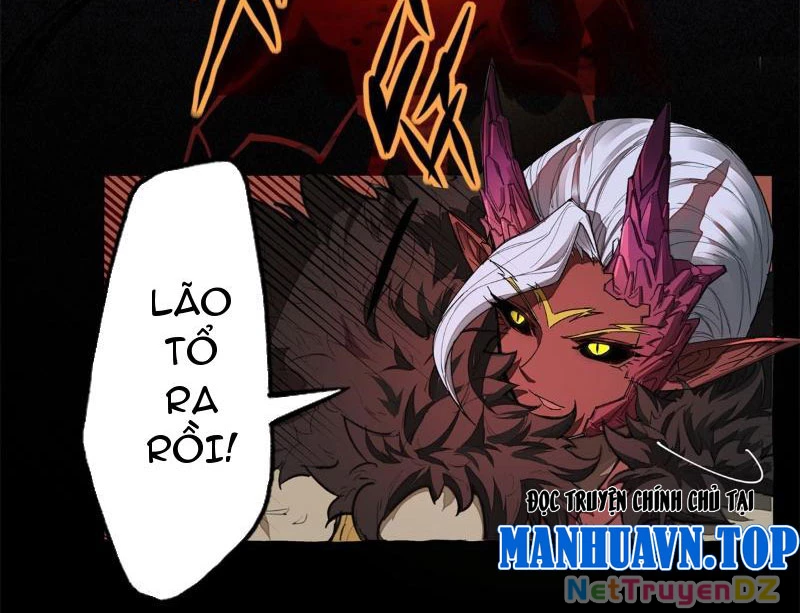 Hồng Hoang: Bắt Đầu Từ Việc Nhận Minh Hà Làm Con Gái Nuôi Chapter 2 - Trang 3