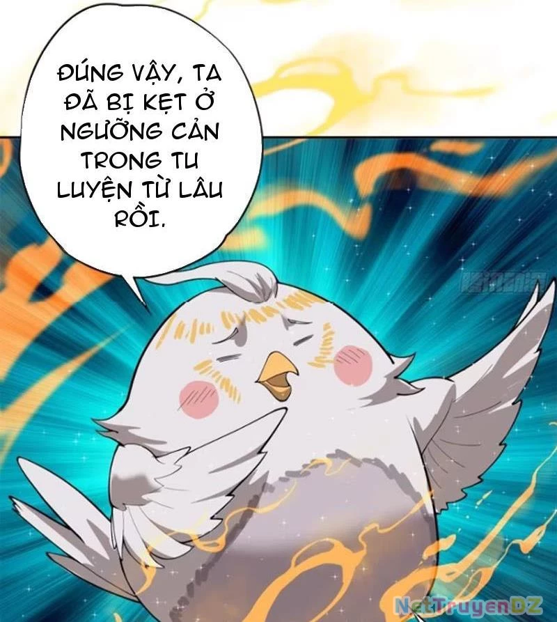 Hồng Hoang: Bắt Đầu Từ Việc Nhận Minh Hà Làm Con Gái Nuôi Chapter 7 - Trang 3