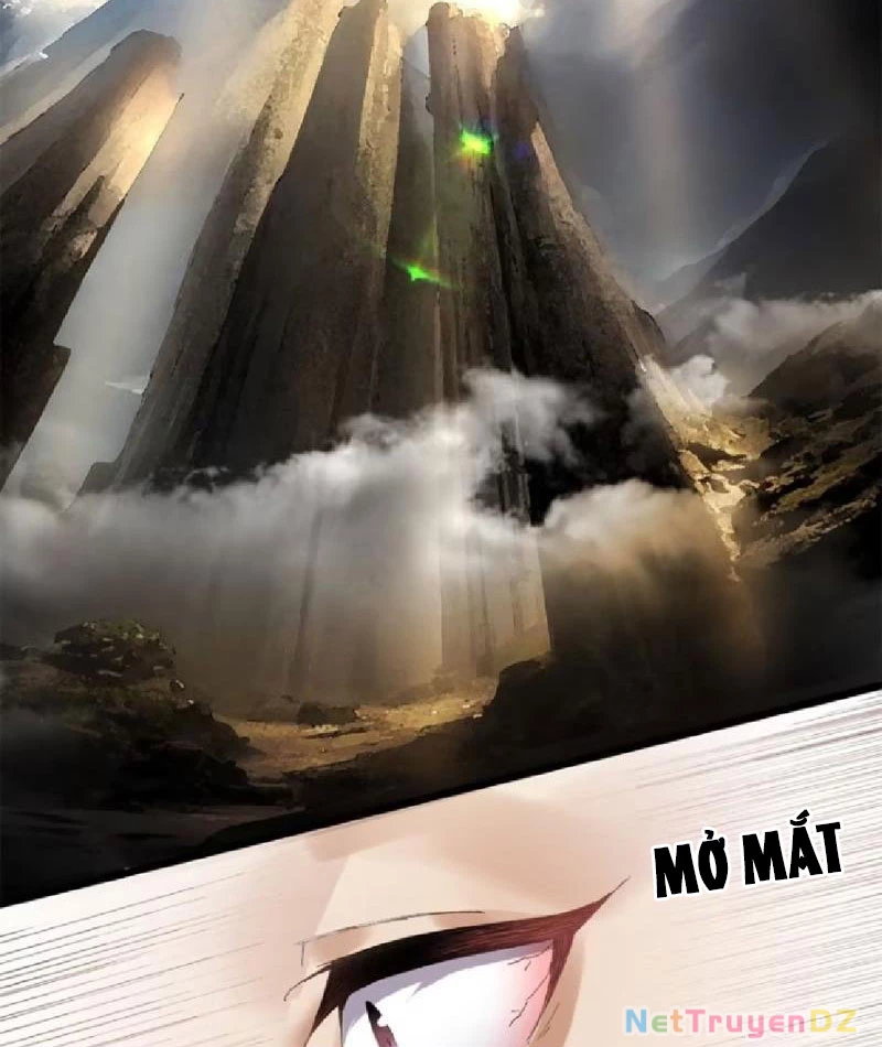 Hồng Hoang: Bắt Đầu Từ Việc Nhận Minh Hà Làm Con Gái Nuôi Chapter 11 - Trang 3