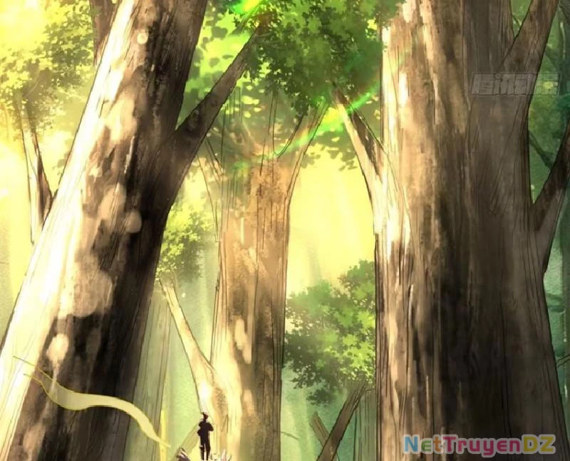 Hồng Hoang: Bắt Đầu Từ Việc Nhận Minh Hà Làm Con Gái Nuôi Chapter 13 - Trang 3