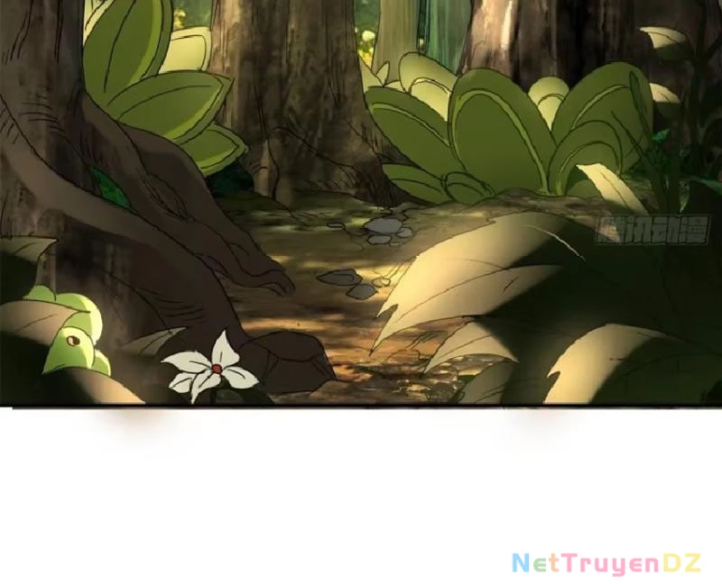 Hồng Hoang: Bắt Đầu Từ Việc Nhận Minh Hà Làm Con Gái Nuôi Chapter 13 - Trang 3