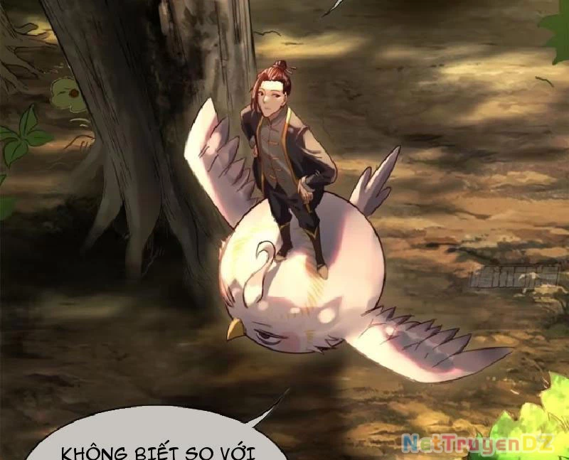 Hồng Hoang: Bắt Đầu Từ Việc Nhận Minh Hà Làm Con Gái Nuôi Chapter 13 - Trang 3