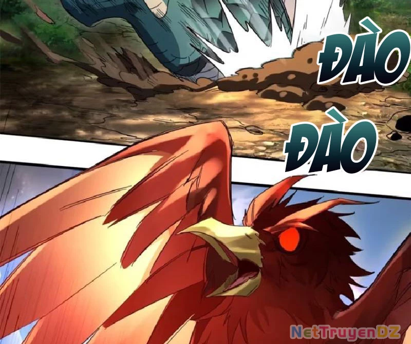 Hồng Hoang: Bắt Đầu Từ Việc Nhận Minh Hà Làm Con Gái Nuôi Chapter 13 - Trang 3