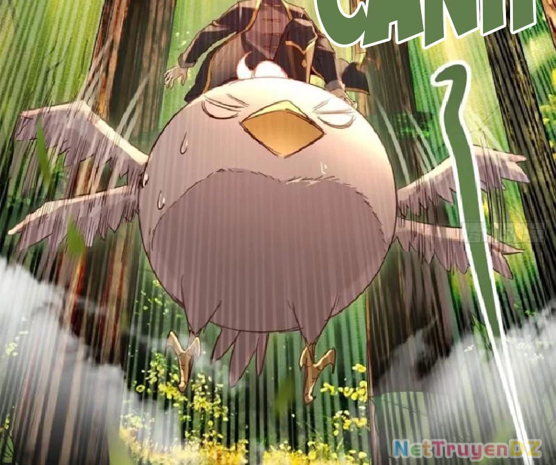 Hồng Hoang: Bắt Đầu Từ Việc Nhận Minh Hà Làm Con Gái Nuôi Chapter 13 - Trang 3