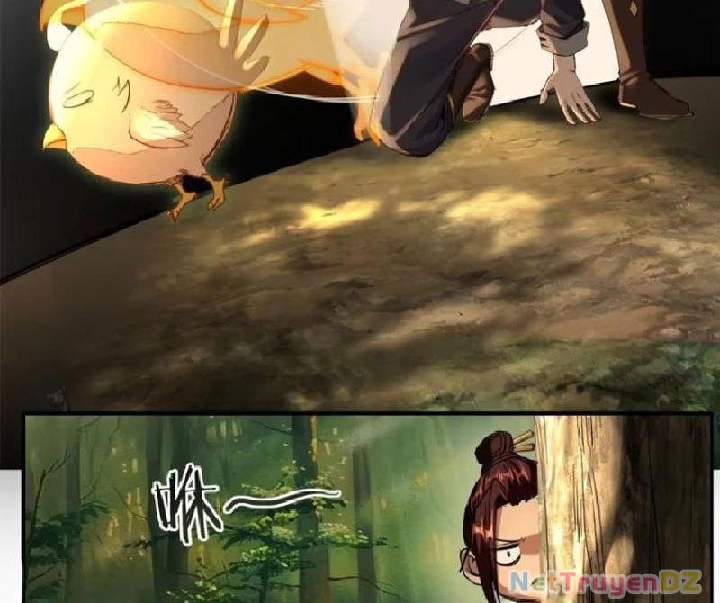 Hồng Hoang: Bắt Đầu Từ Việc Nhận Minh Hà Làm Con Gái Nuôi Chapter 13 - Trang 3