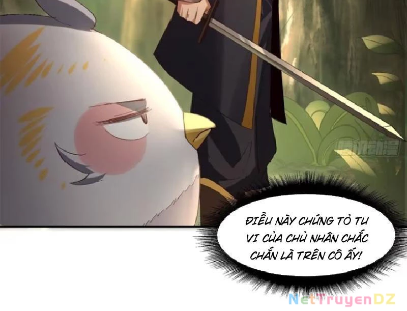 Hồng Hoang: Bắt Đầu Từ Việc Nhận Minh Hà Làm Con Gái Nuôi Chapter 13 - Trang 3