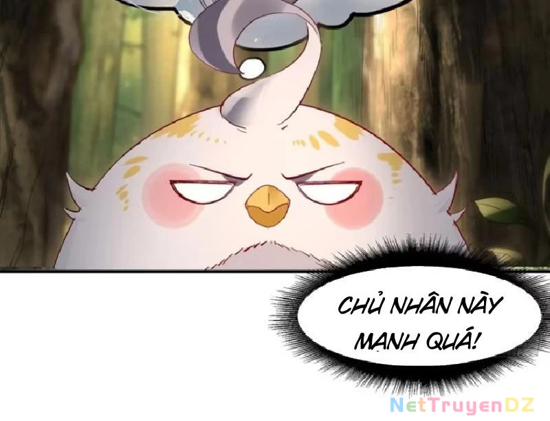 Hồng Hoang: Bắt Đầu Từ Việc Nhận Minh Hà Làm Con Gái Nuôi Chapter 13 - Trang 3