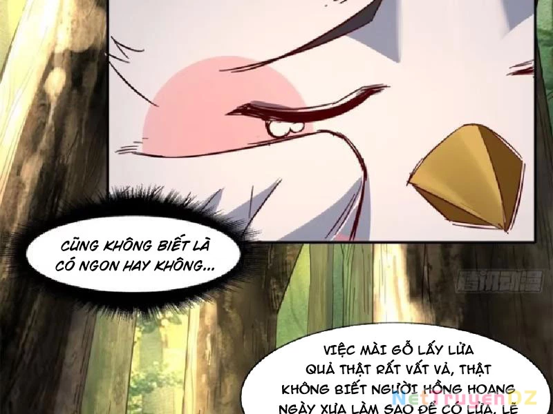 Hồng Hoang: Bắt Đầu Từ Việc Nhận Minh Hà Làm Con Gái Nuôi Chapter 14 - Trang 3