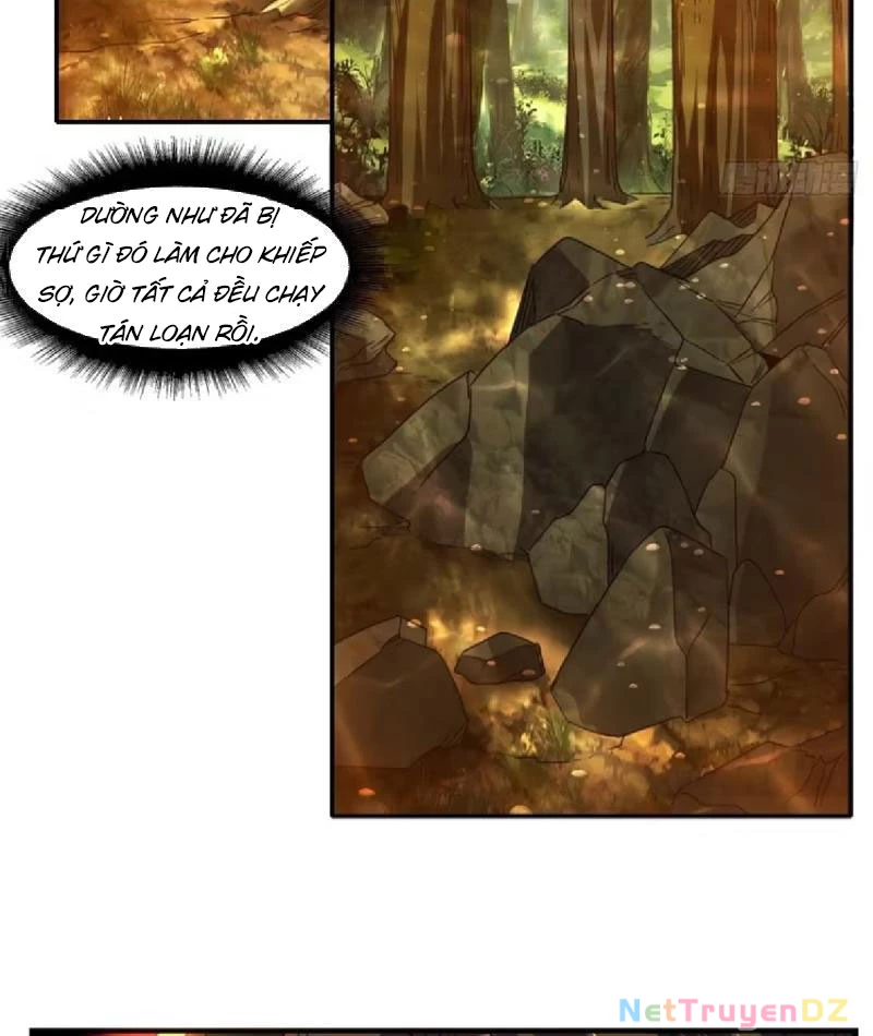 Hồng Hoang: Bắt Đầu Từ Việc Nhận Minh Hà Làm Con Gái Nuôi Chapter 16 - Trang 3