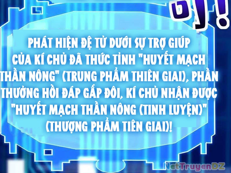 Đệ Tử Tu Luyện Còn Ta Thì Lười Biếng Chapter 140 - Trang 4