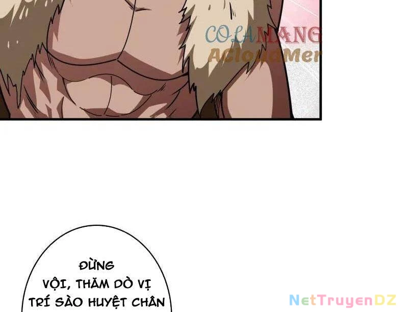 Vừa Chơi Đã Có Tài Khoản Vương Giả Chapter 497 - Trang 4