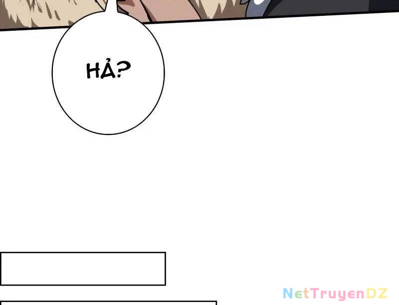 Vừa Chơi Đã Có Tài Khoản Vương Giả Chapter 497 - Trang 4