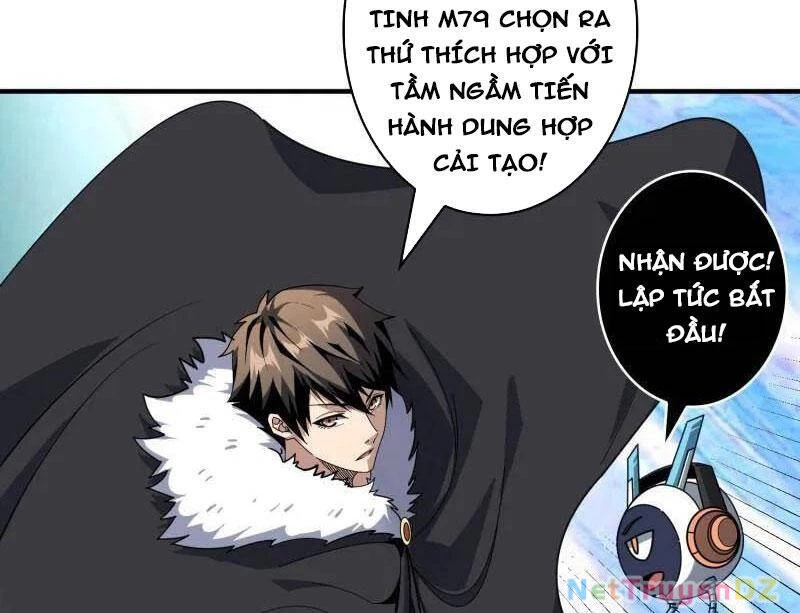 Vừa Chơi Đã Có Tài Khoản Vương Giả Chapter 497 - Trang 4