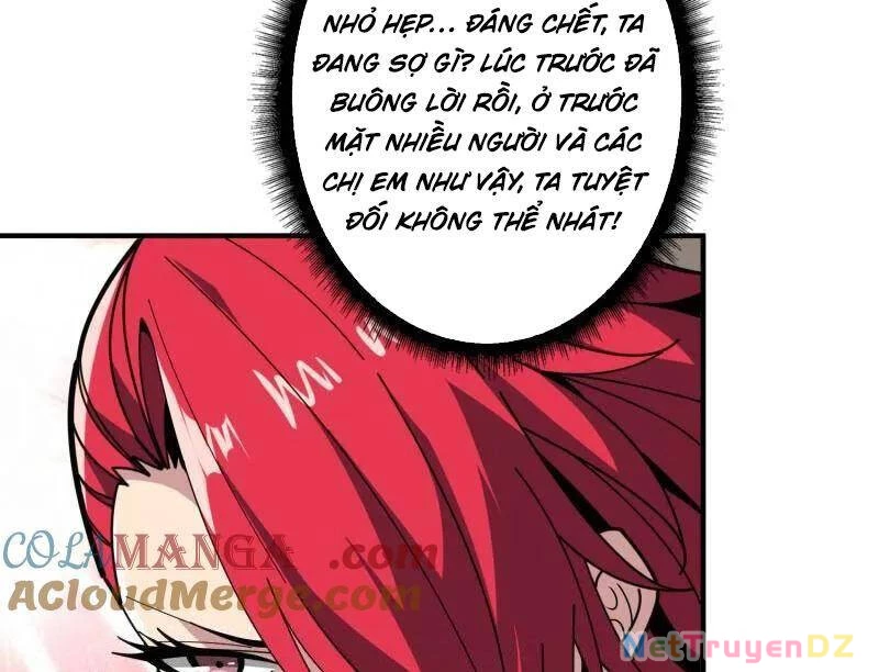 Vừa Chơi Đã Có Tài Khoản Vương Giả Chapter 497 - Trang 4