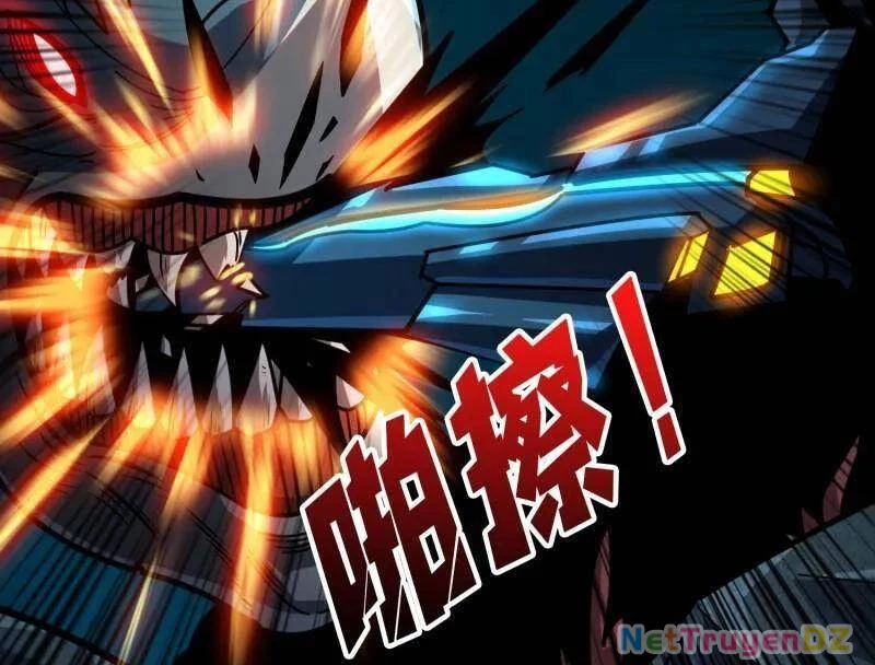 Vừa Chơi Đã Có Tài Khoản Vương Giả Chapter 497 - Trang 4