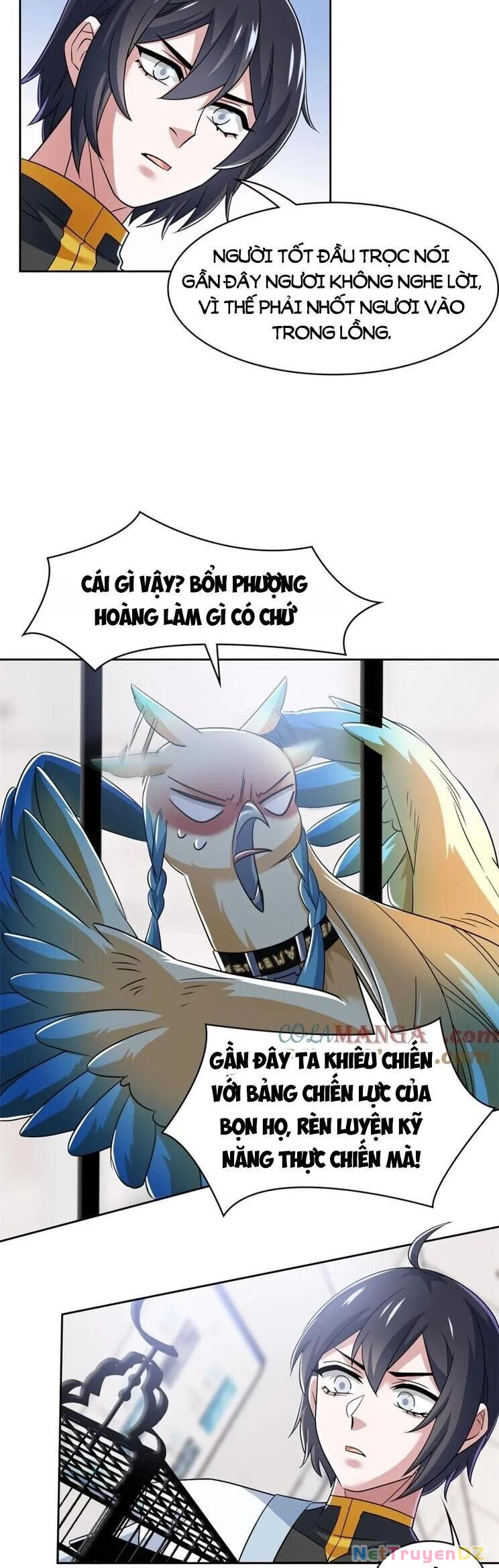 Cường Giả Đến Từ Trại Tâm Thần Chapter 310 - Trang 4