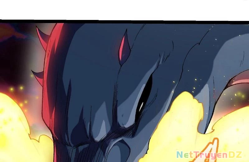 Chuyển Sinh Thành Liễu Đột Biến Chapter 312 - Trang 4