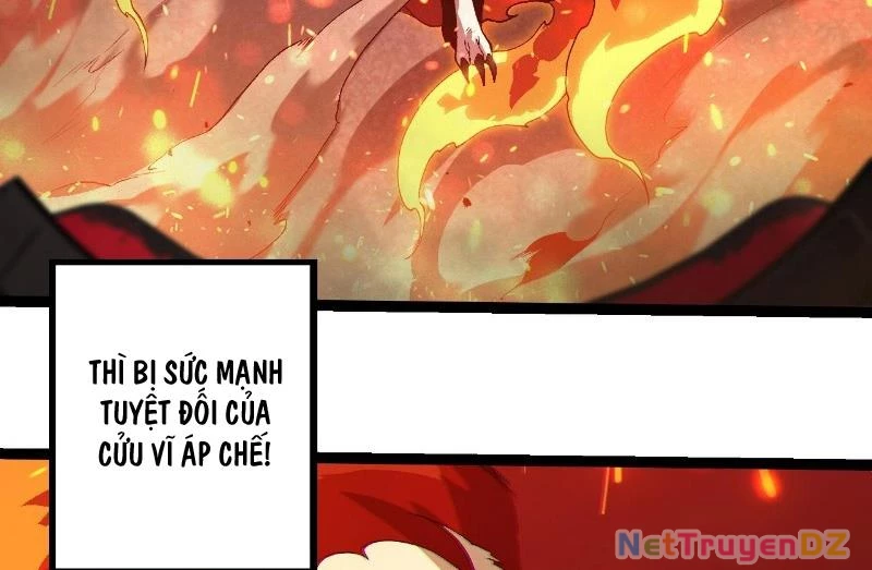 Chuyển Sinh Thành Liễu Đột Biến Chapter 312 - Trang 4