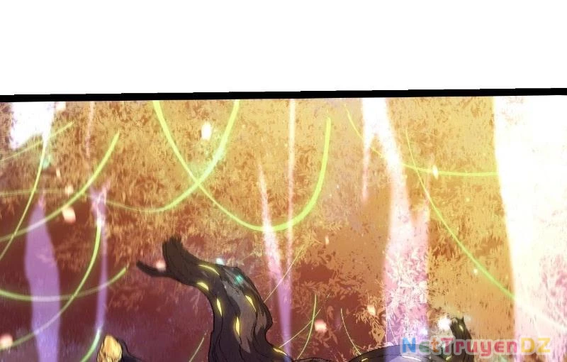 Chuyển Sinh Thành Liễu Đột Biến Chapter 312 - Trang 4