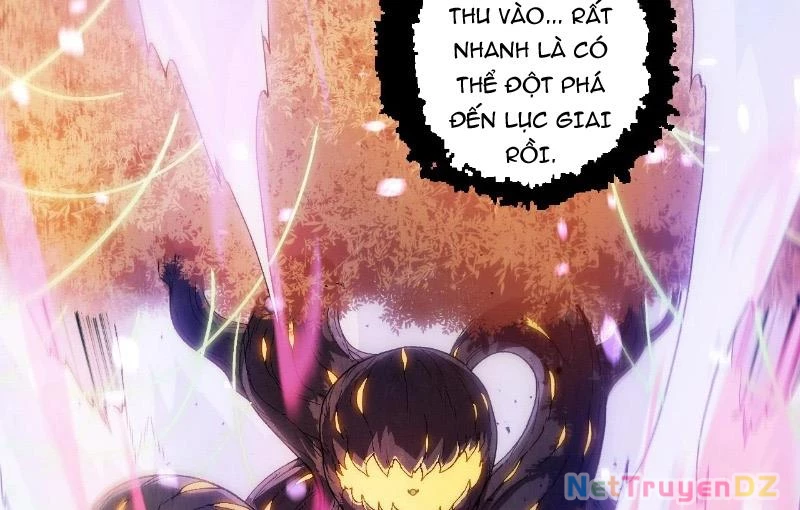 Chuyển Sinh Thành Liễu Đột Biến Chapter 312 - Trang 4