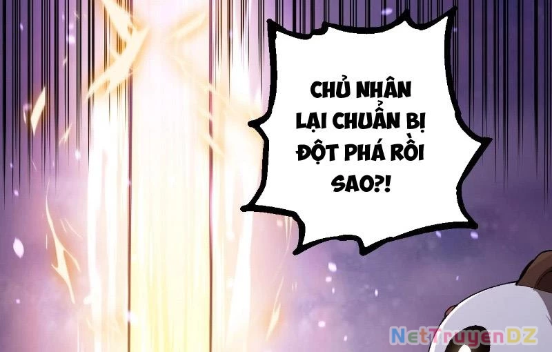 Chuyển Sinh Thành Liễu Đột Biến Chapter 312 - Trang 4