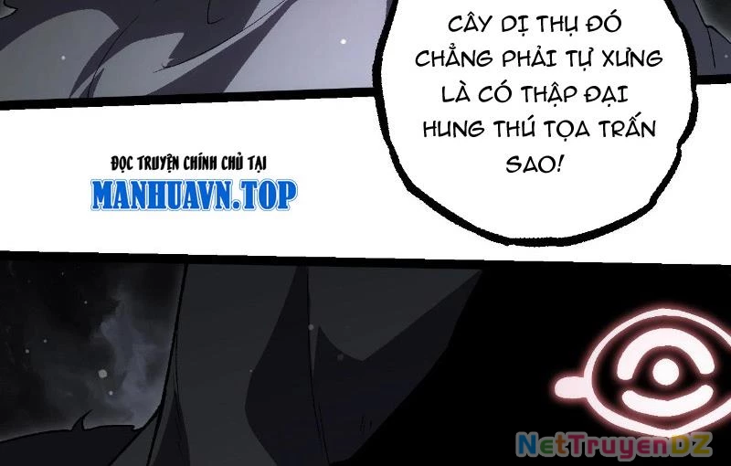 Chuyển Sinh Thành Liễu Đột Biến Chapter 312 - Trang 4