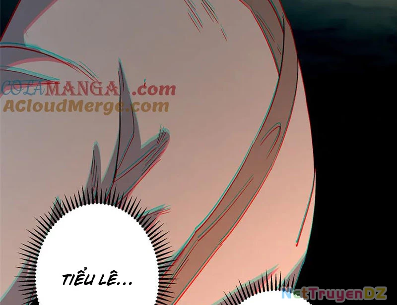 Chưởng Môn Khiêm Tốn Chút Chapter 454 - Trang 4