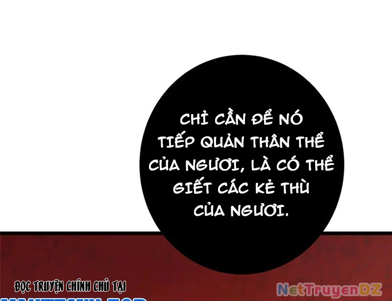 Chưởng Môn Khiêm Tốn Chút Chapter 454 - Trang 4