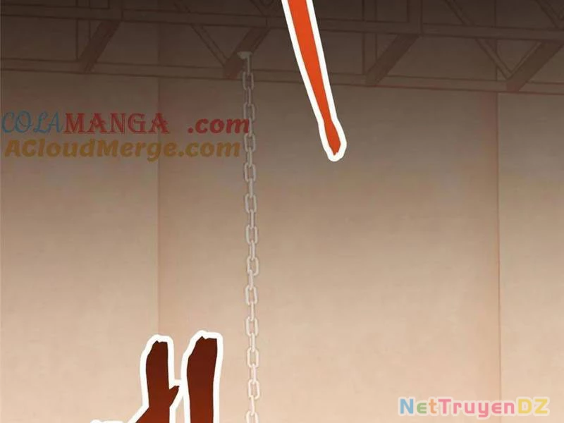 Trọng Sinh Không Làm Chạn Vương, Tôi Một Mình Nạp Game Thăng Cấp Chapter 178 - Trang 4
