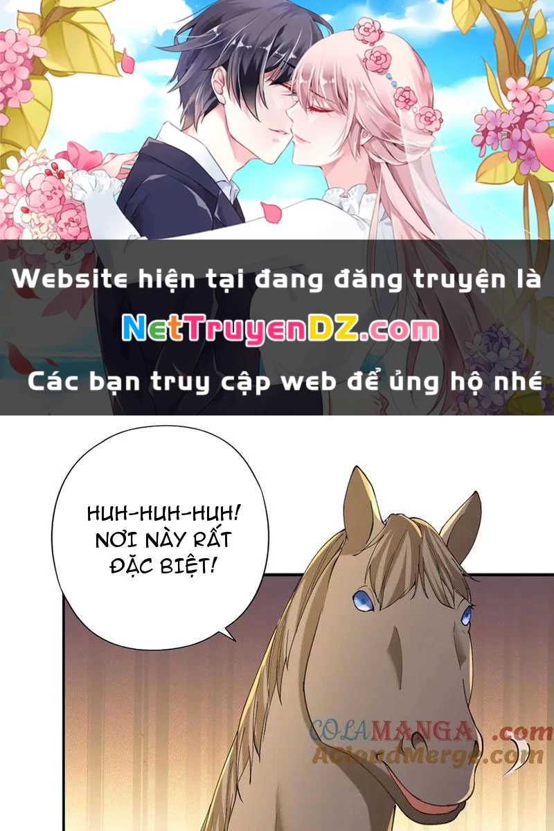 Ta Có Thể Đốn Ngộ Vô Hạn Chapter 221 - Trang 4