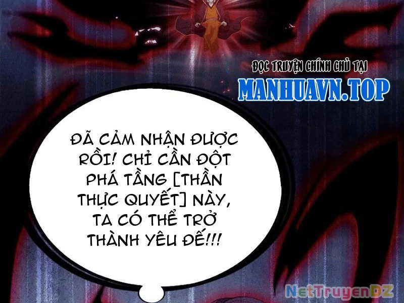 Hoá Ra Ta Đã Vô Địch Từ Lâu Chapter 221 - Trang 4