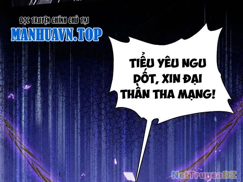 Hoá Ra Ta Đã Vô Địch Từ Lâu Chapter 221 - Trang 4