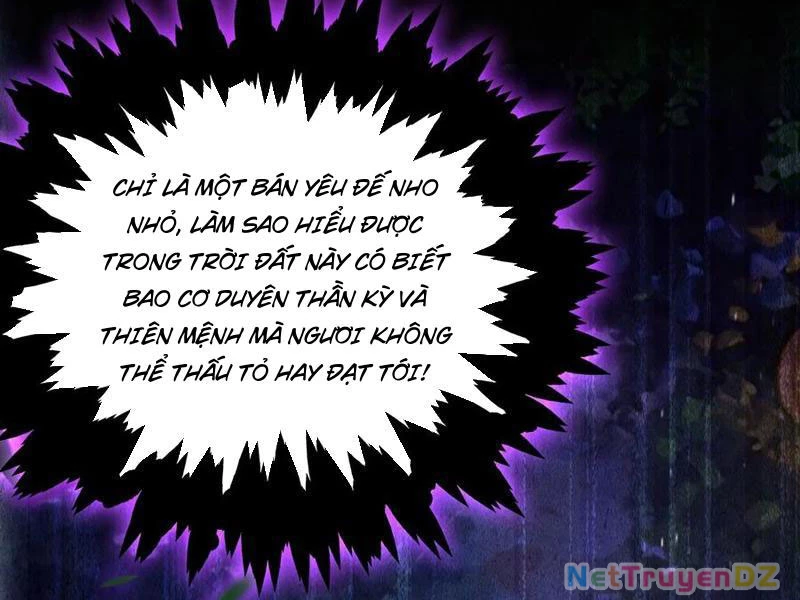 Hoá Ra Ta Đã Vô Địch Từ Lâu Chapter 221 - Trang 4