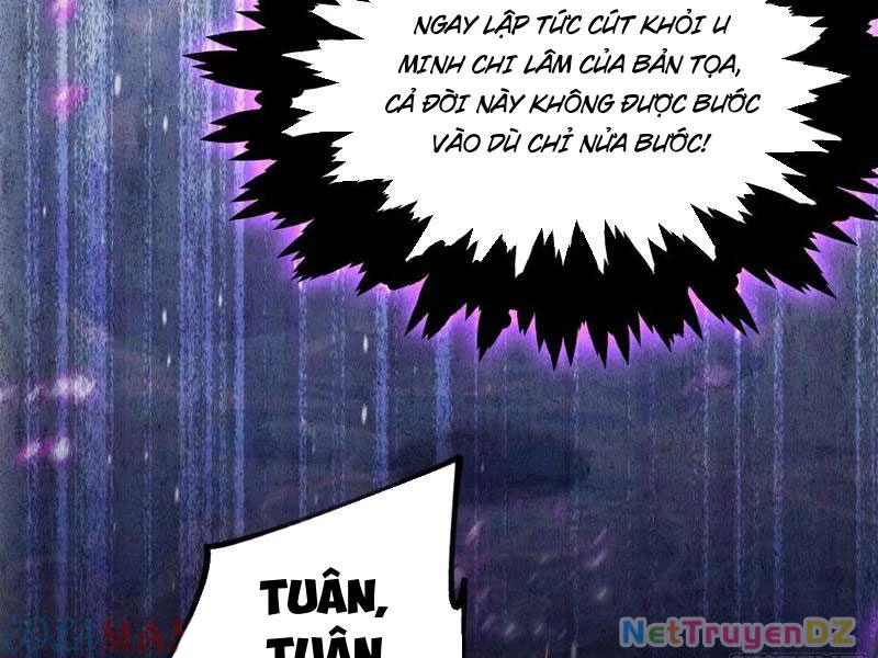 Hoá Ra Ta Đã Vô Địch Từ Lâu Chapter 221 - Trang 4