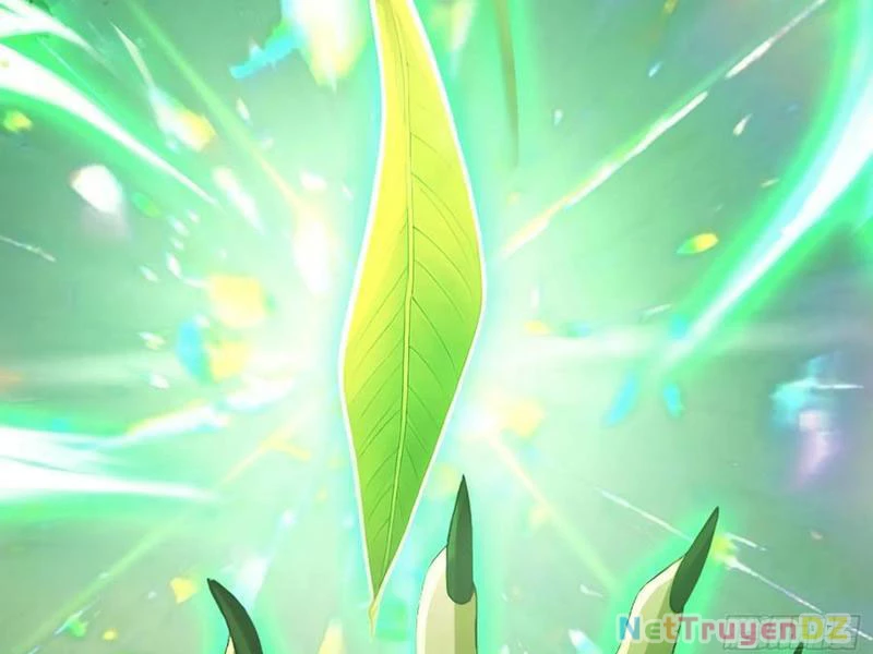 Hoá Ra Ta Đã Vô Địch Từ Lâu Chapter 221 - Trang 4