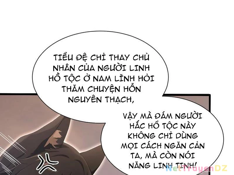 Hoá Ra Ta Đã Vô Địch Từ Lâu Chapter 221 - Trang 4