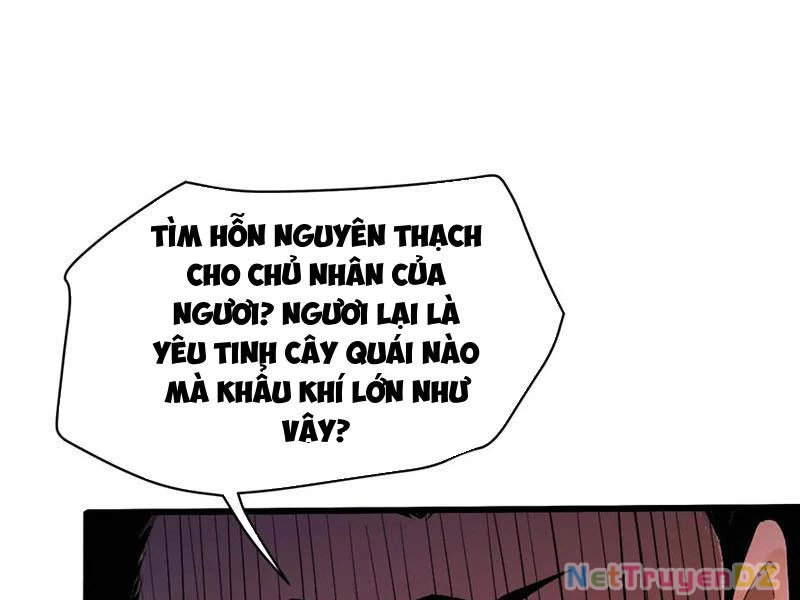Hoá Ra Ta Đã Vô Địch Từ Lâu Chapter 221 - Trang 4