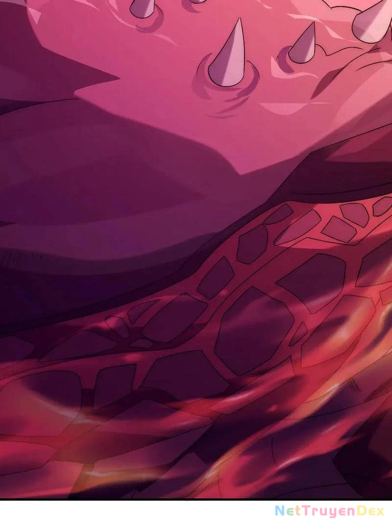 Võng Du: Ta Có Thể Tiến Hóa Thành Mọi Thứ Chapter 8 - Trang 2