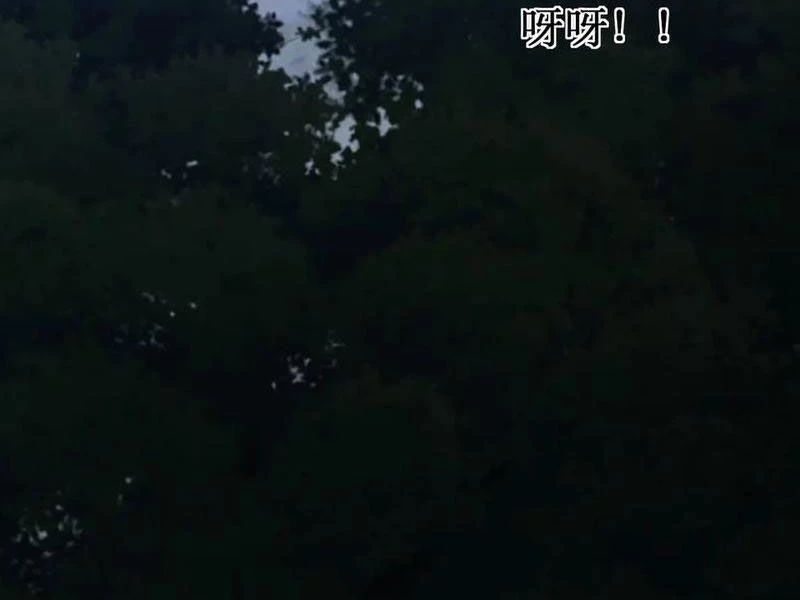 Võng Du: Ta Có Thể Tiến Hóa Thành Mọi Thứ Chapter 13 - Trang 2