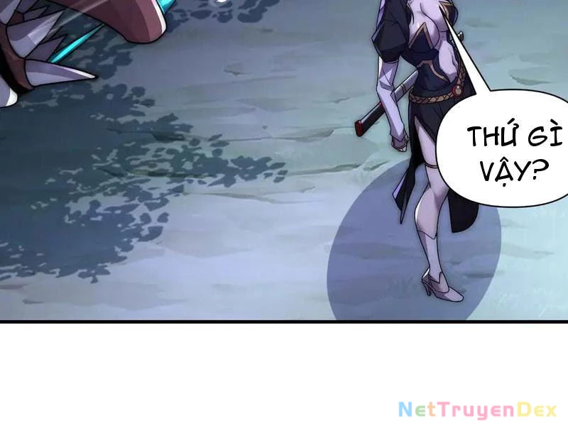 Võng Du: Ta Có Thể Tiến Hóa Thành Mọi Thứ Chapter 13 - Trang 2