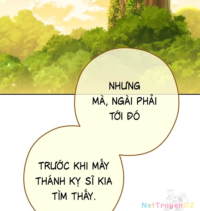 Tái Thiết Hầm Ngục Chapter 230 - Trang 4