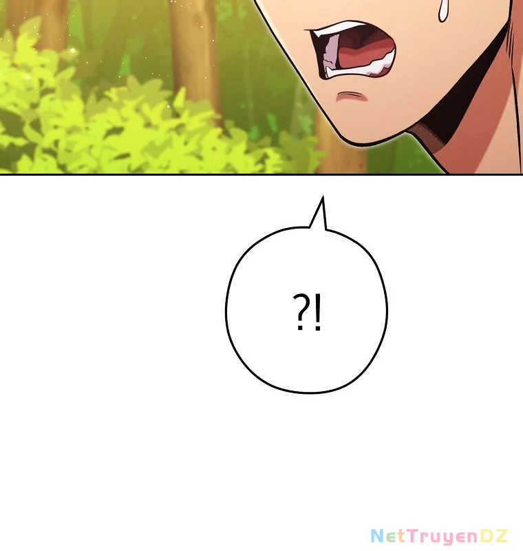 Tái Thiết Hầm Ngục Chapter 230 - Trang 4