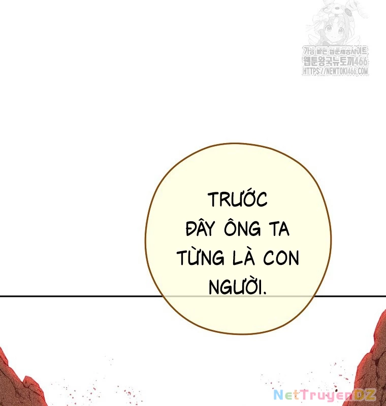 Tái Thiết Hầm Ngục Chapter 230 - Trang 4