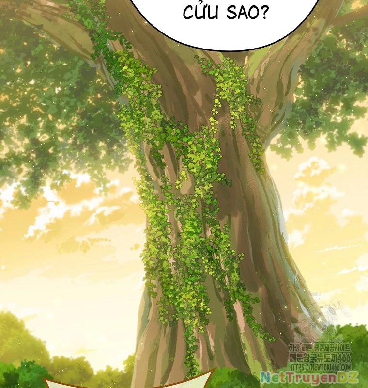 Tái Thiết Hầm Ngục Chapter 230 - Trang 4