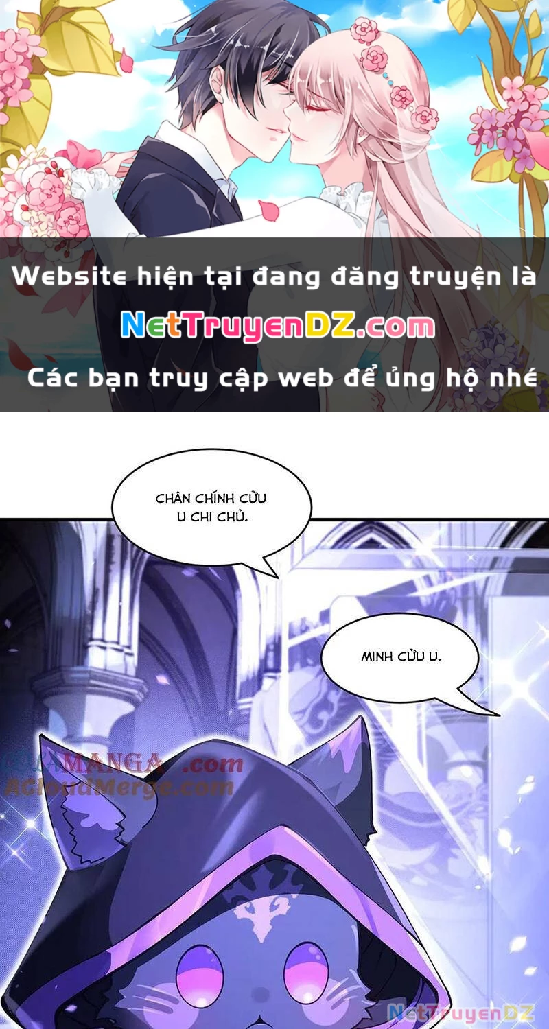 Các Nữ Đồ Đệ Của Ta Đều Là Chư Thiên Đại Lão Tương Lai Chapter 318 - Trang 4