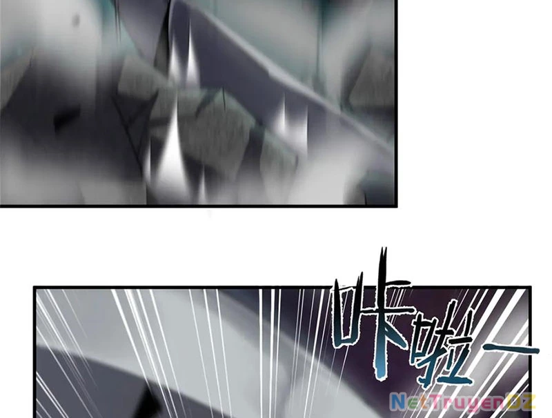 Thần Sủng Tiến Hóa Chapter 369 - Trang 4