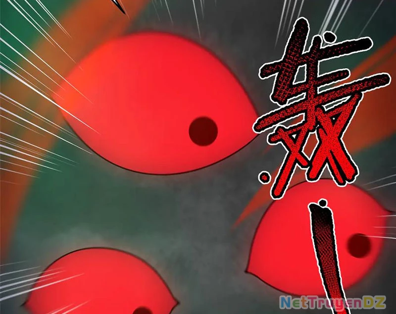 Thần Sủng Tiến Hóa Chapter 369 - Trang 4