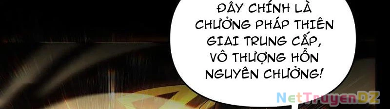 Bắt Đầu Chấn Kinh Nữ Đế Lão Bà, Ta Vô Địch! Chapter 55 - Trang 4